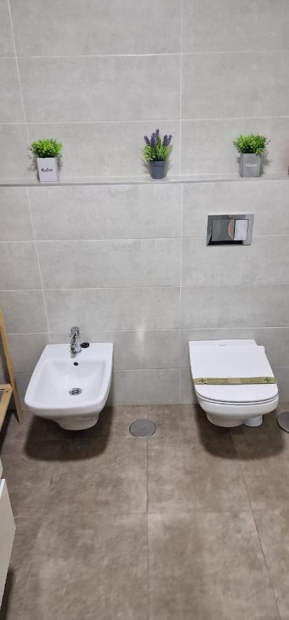 Apartament Estudio En Centro De Alicante Zewnętrze zdjęcie