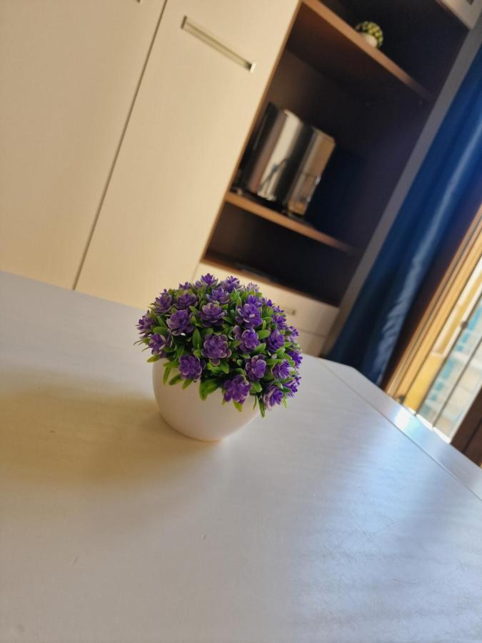 Apartament Estudio En Centro De Alicante Zewnętrze zdjęcie